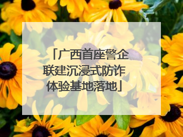 广西首座警企联建沉浸式防诈体验基地落地