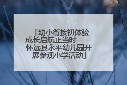 幼小衔接初体验 成长启航正当时——怀远县永平幼儿园开展参观小学活动