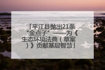 平江县抛出21条“金点子”——为《生态环境法典（草案）》贡献基层智慧