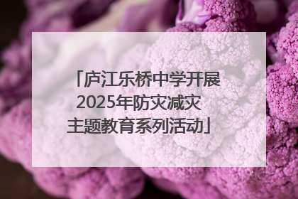 庐江乐桥中学开展2025年防灾减灾主题教育系列活动