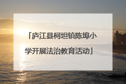 庐江县柯坦镇陈埠小学开展法治教育活动