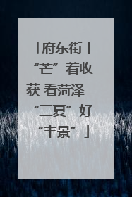 府东街丨“芒”着收获 看菏泽“三夏”好“丰景”