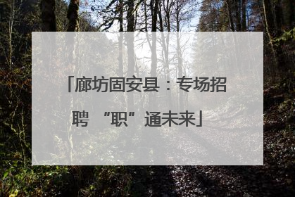 廊坊固安县：专场招聘 “职”通未来