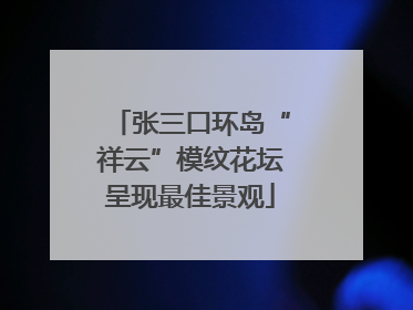 张三口环岛“祥云”模纹花坛呈现最佳景观
