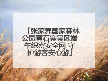 张家界国家森林公园黄石寨景区端午织密安全网 守护游客安心游