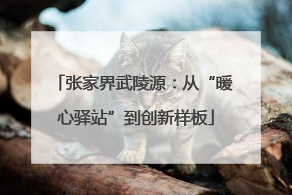 张家界武陵源：从“暖心驿站”到创新样板