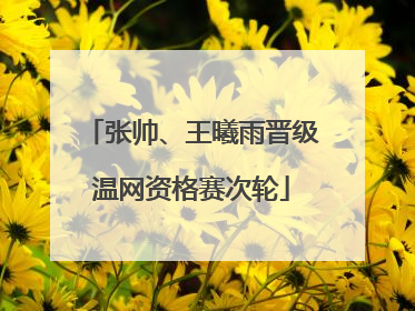张帅、王曦雨晋级温网资格赛次轮