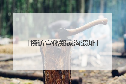 探访宣化郑家沟遗址