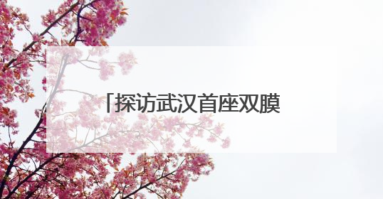 探访武汉首座双膜工艺水厂，筛网孔径比头发丝还细