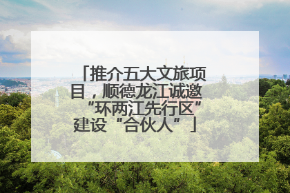 推介五大文旅项目，顺德龙江诚邀“环两江先行区”建设“合伙人”