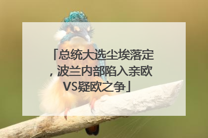 总统大选尘埃落定，波兰内部陷入亲欧VS疑欧之争