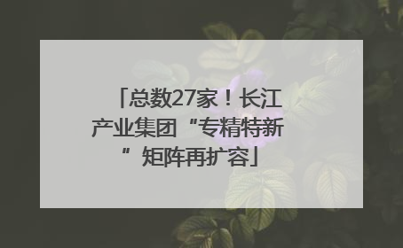 总数27家！长江产业集团“专精特新”矩阵再扩容