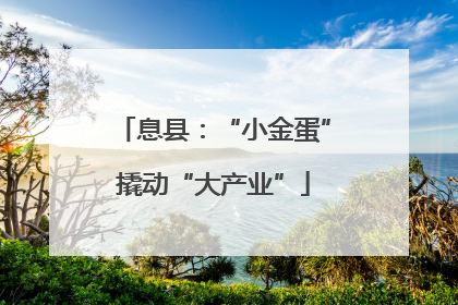 息县：“小金蛋”撬动“大产业”