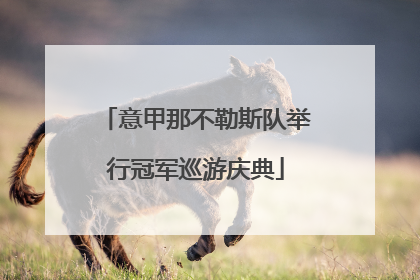 意甲那不勒斯队举行冠军巡游庆典
