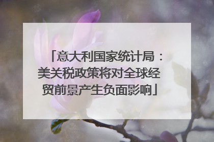 意大利国家统计局：美关税政策将对全球经贸前景产生负面影响