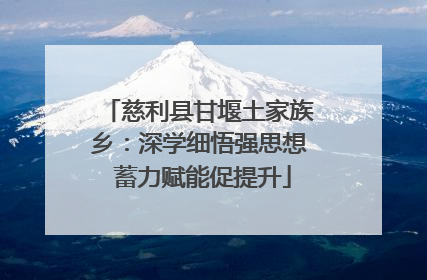 慈利县甘堰土家族乡：深学细悟强思想 蓄力赋能促提升