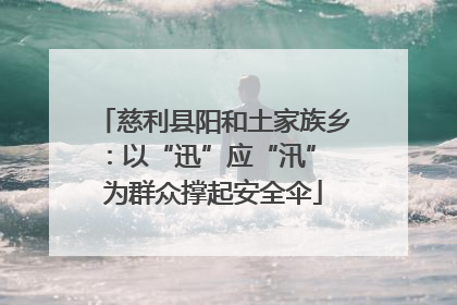 慈利县阳和土家族乡：以“迅”应“汛” 为群众撑起安全伞