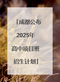 成都公布2025年高中项目班招生计划