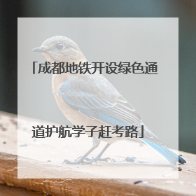 成都地铁开设绿色通道护航学子赶考路