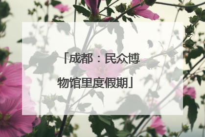 成都：民众博物馆里度假期