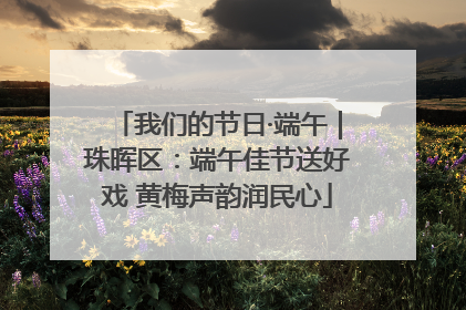 我们的节日·端午｜珠晖区：端午佳节送好戏 黄梅声韵润民心