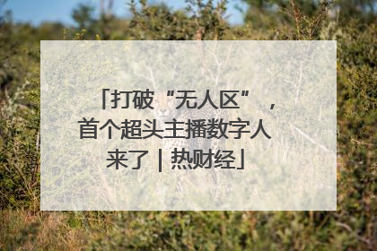 打破“无人区”，首个超头主播数字人来了｜热财经