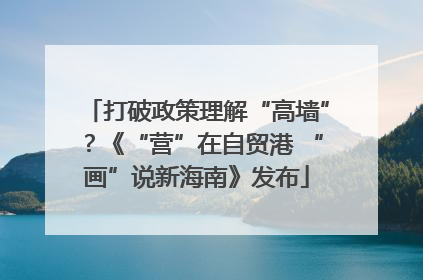 打破政策理解“高墙”？《“营”在自贸港 “画”说新海南》发布