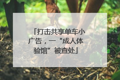 打击共享单车小广告，一“成人体验馆”被查处