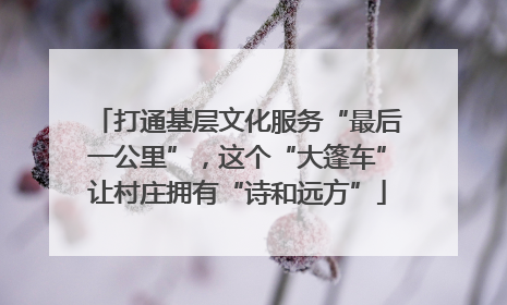 打通基层文化服务“最后一公里”，这个“大篷车”让村庄拥有“诗和远方”