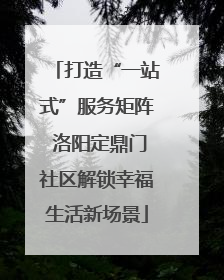 打造“一站式”服务矩阵 洛阳定鼎门社区解锁幸福生活新场景