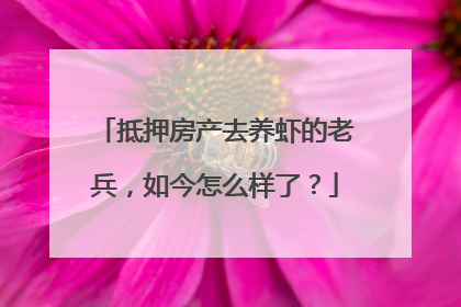 抵押房产去养虾的老兵，如今怎么样了？