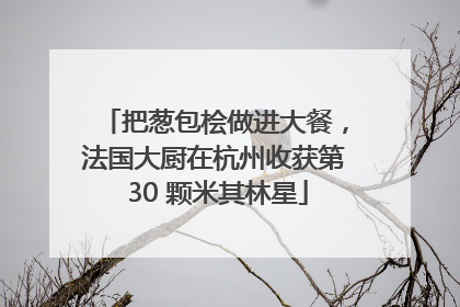 把葱包桧做进大餐，法国大厨在杭州收获第 30 颗米其林星