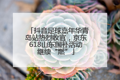 抖音足球嘉年华青岛站热烈收官，京东618山东国补活动继续“燃”