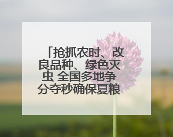 抢抓农时、改良品种、绿色灭虫 全国多地争分夺秒确保夏粮丰收