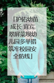 护佑幼苗成长 宜宾翠屏菜坝幼儿园多举措筑牢校园安全防线