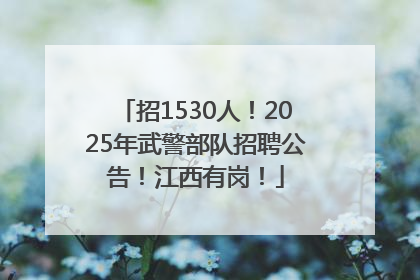 招1530人！2025年武警部队招聘公告！江西有岗！
