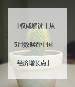 权威解读丨从5月数据看中国经济增长点