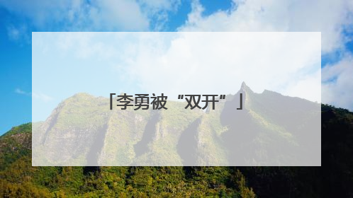 李勇被“双开”