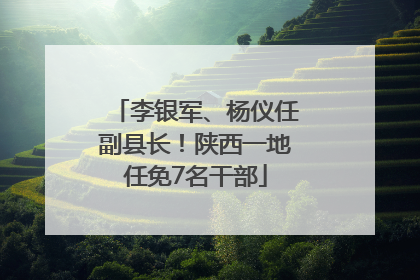 李银军、杨仪任副县长！陕西一地任免7名干部