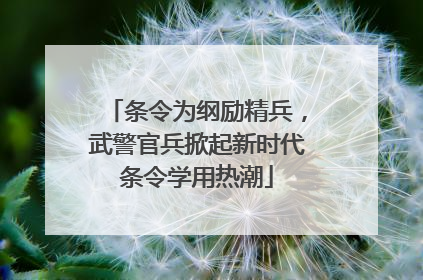 条令为纲励精兵，武警官兵掀起新时代条令学用热潮