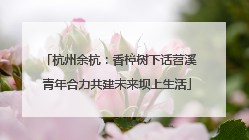 杭州余杭：香樟树下话苕溪 青年合力共建未来坝上生活