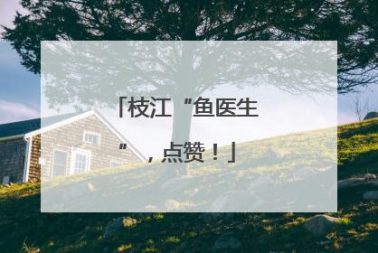 枝江“鱼医生”，点赞！