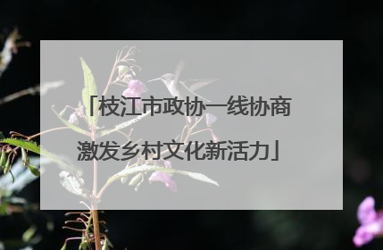 枝江市政协一线协商激发乡村文化新活力