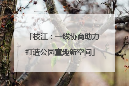 枝江：一线协商助力打造公园童趣新空间