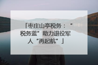 枣庄山亭税务：“税务蓝”助力退役军人“再起航”