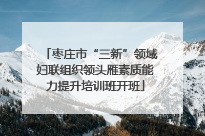 枣庄市“三新”领域妇联组织领头雁素质能力提升培训班开班