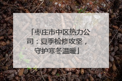 枣庄市中区热力公司：夏季检修攻坚，守护寒冬温暖