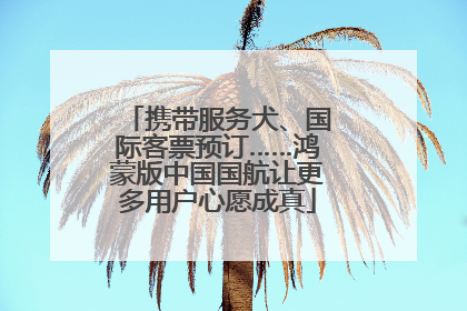 携带服务犬、国际客票预订……鸿蒙版中国国航让更多用户心愿成真