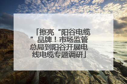 擦亮“阳谷电缆”品牌！市场监管总局到阳谷开展电线电缆专题调研