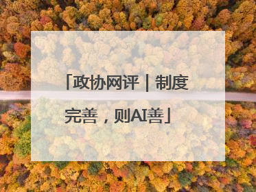政协网评｜制度完善，则AI善